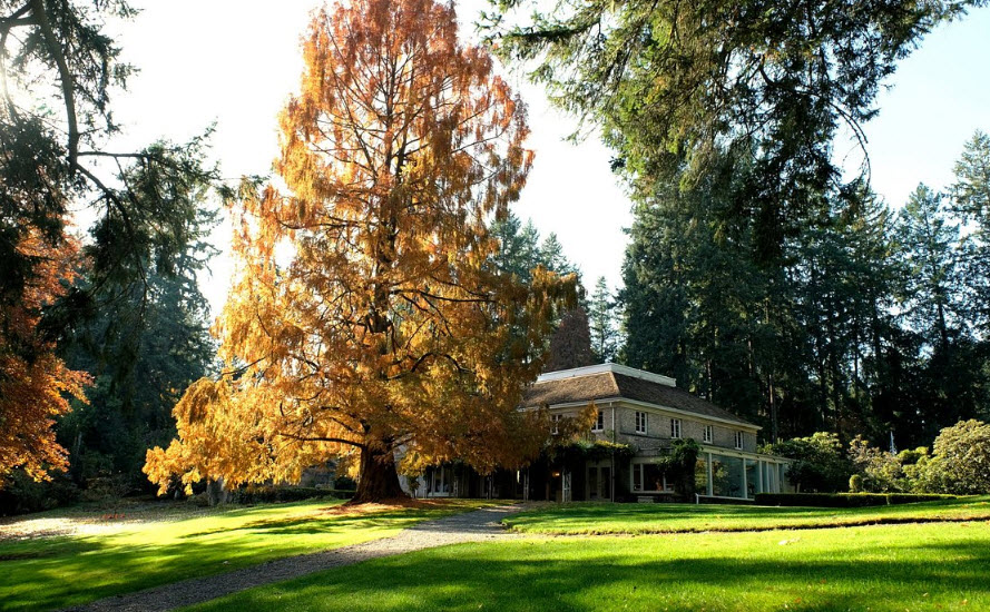 Lakewold Gardens, United States